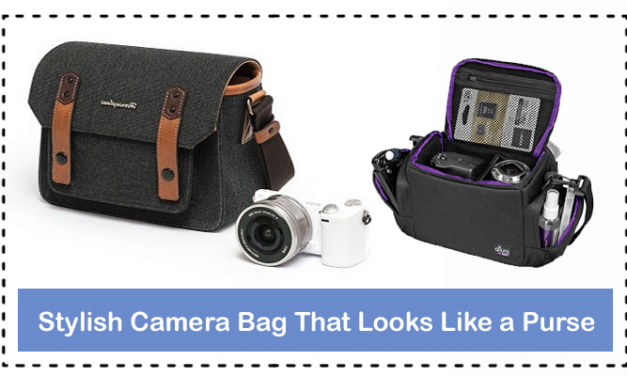 Stylish Camera Bag That Looks Like a Purse